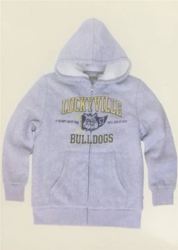 Lucky Brand Boys' Full Zip Graphic Hoodie, GREY HEATHER, M(10||12)
